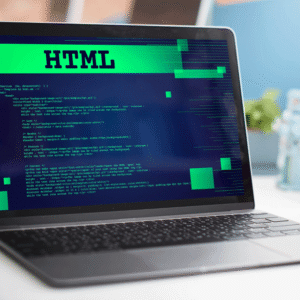 WordPress online store programming