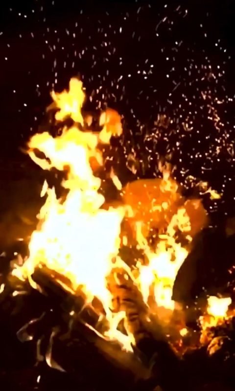 WhatsApp Image 2025-10-07 at 12.55.13 PM